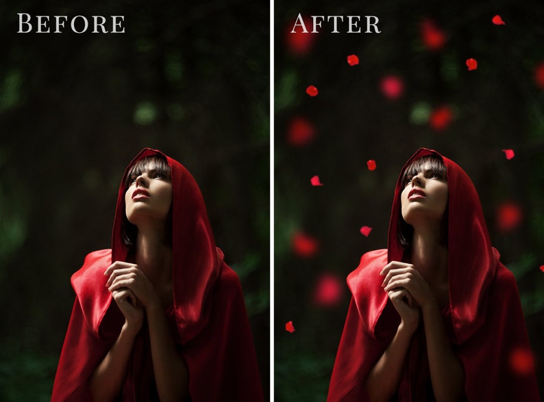 Petal photo overlays American Beauty, falling red rose petals photo overlay, Valentine's Day atmosphere, photo overlays for Photoshop image 5