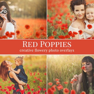 Poppies photo overlays &quot;Red Poppies&quot;,  shooting through the poppies photo overlays, digital photo overlays for Photoshop, flowery overlays