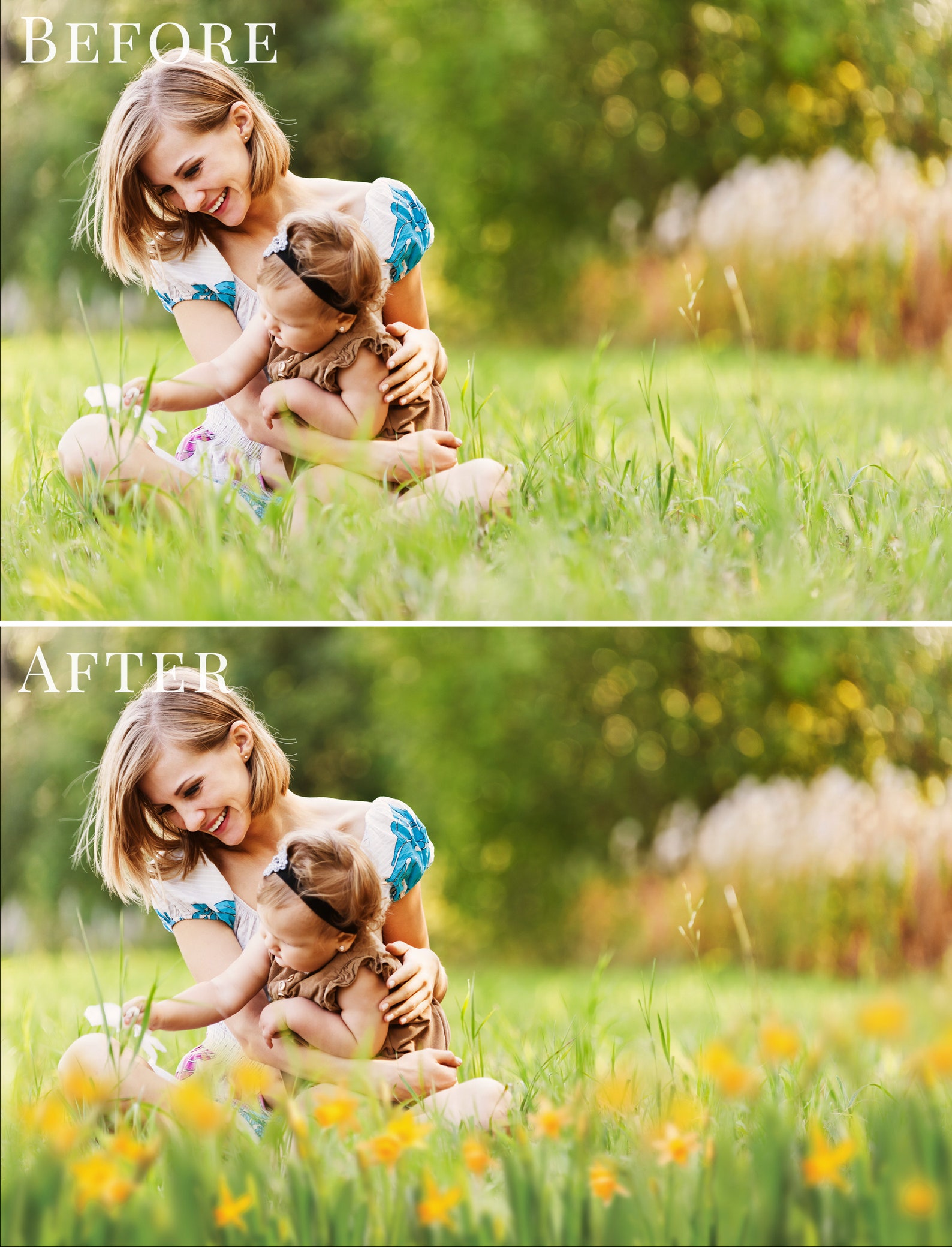 Spring Photo Overlays daffodils Flowers Creative | Etsy