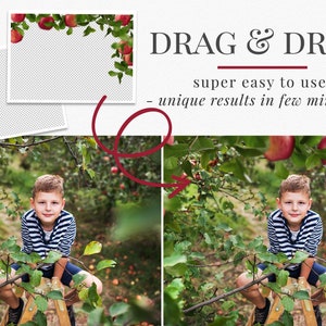 Apple Orchard photo overlays for Photoshop, creative fall overlays for Photographers, Photoshop actions, kids photography image 2