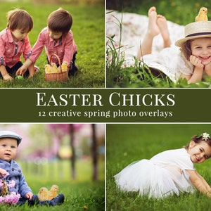 Spring photo overlays Easter Chicks, creative chickens photo overlays for Photoshop, actions for Photographers, easter minis image 1