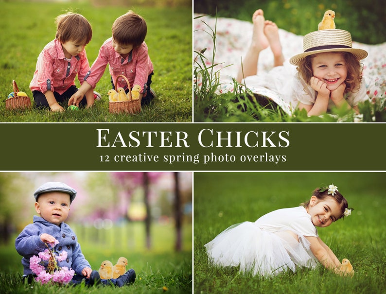 Spring photo overlays Easter Chicks, creative chickens photo overlays for Photoshop, actions for Photographers, easter minis image 1