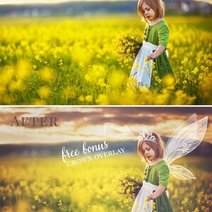 Fairy photo overlays Summer Fairy Tail, fairy wings photo overlays and sparkle brushes, gift crown overlay, photo overlays for Photoshop image 4