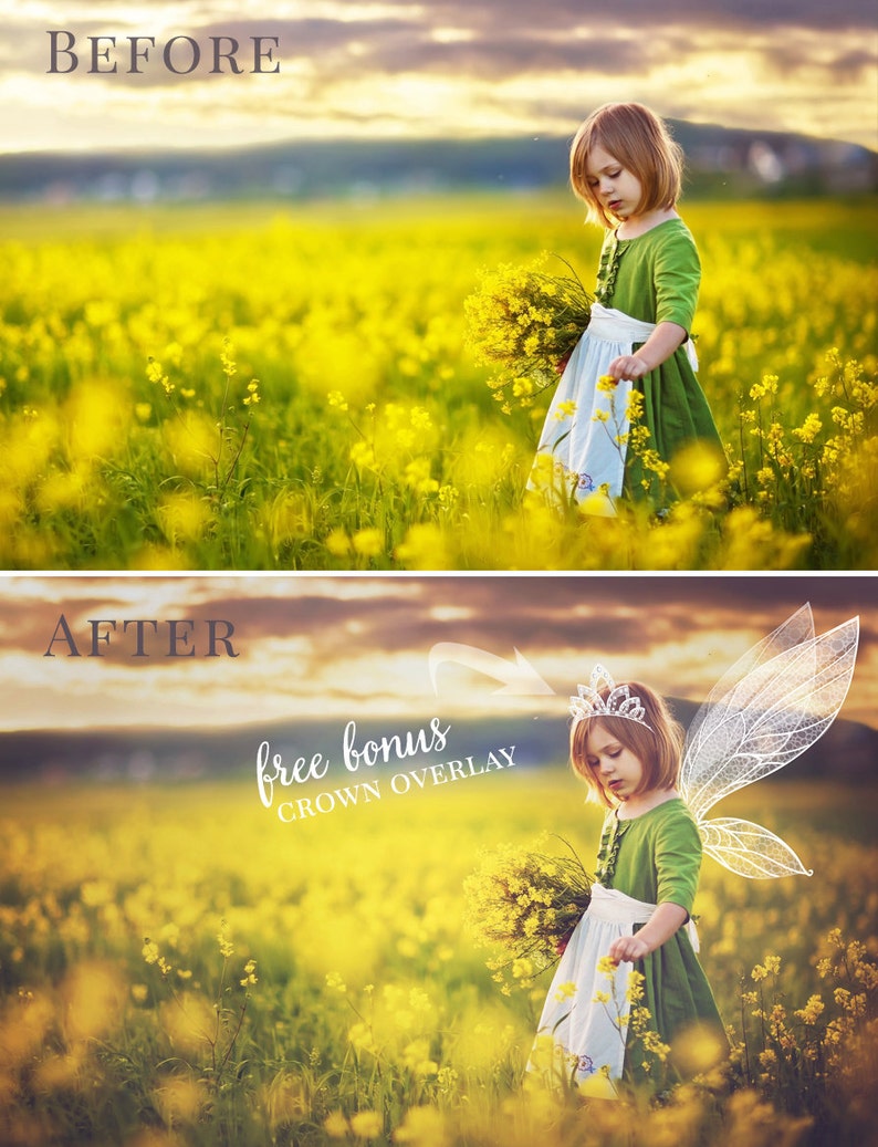 Fairy photo overlays Summer Fairy Tail, fairy wings photo overlays and sparkle brushes, gift crown overlay, photo overlays for Photoshop image 4