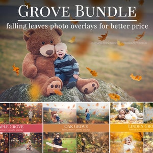 Grove Bundle for Photographers, Fall photo overlays, falling leaves photo overlays, autumn photo overlays for Photoshop