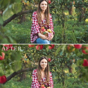 Apple Orchard photo overlays for Photoshop, creative fall overlays for Photographers, Photoshop actions, kids photography image 4