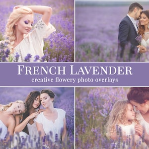 May include: A collection of four photos featuring people in a field of lavender. The photos show a woman with long blonde hair, a couple, two women, and a woman with a young girl. The photos are overlaid with the text "French Lavender" and "creative flowery photo overlays".