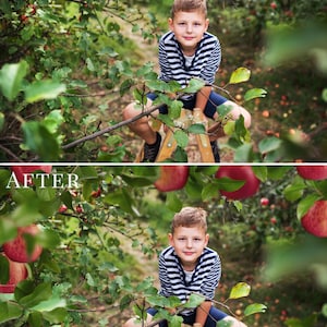 Apple Orchard photo overlays for Photoshop, creative fall overlays for Photographers, Photoshop actions, kids photography image 5