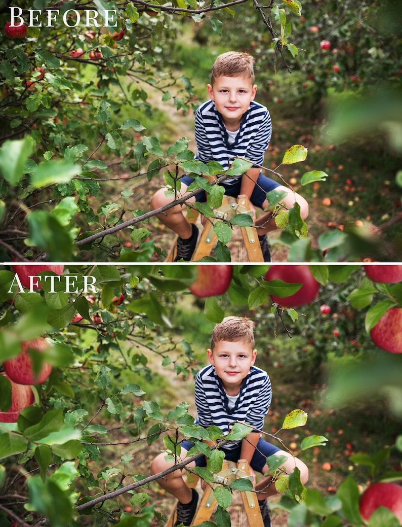 Apple Orchard photo overlays for Photoshop, creative fall overlays for Photographers, Photoshop actions, kids photography image 5