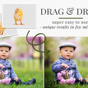 Spring photo overlays Easter Chicks, creative chickens photo overlays for Photoshop, actions for Photographers, easter minis image 2