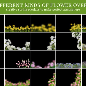 Spring photo overlays Flowery Spring, flower photo overlays, digital photo overlays for Photoshop image 2