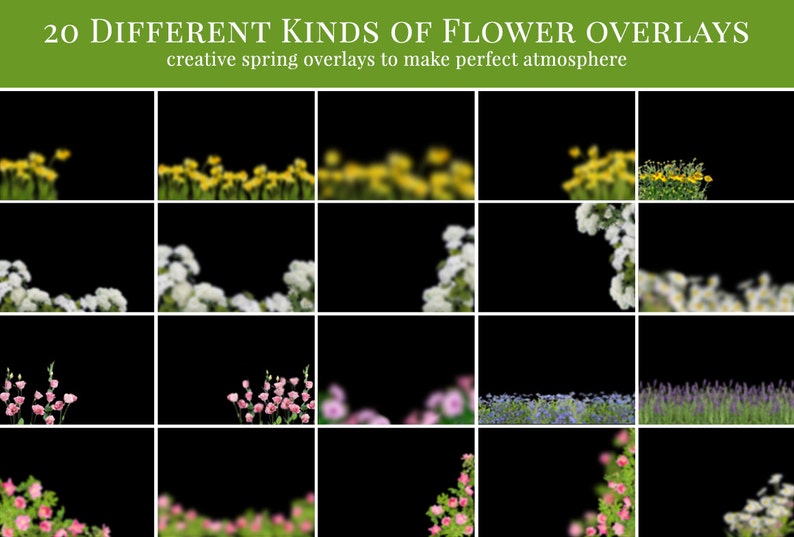 Spring Photo Overlays 