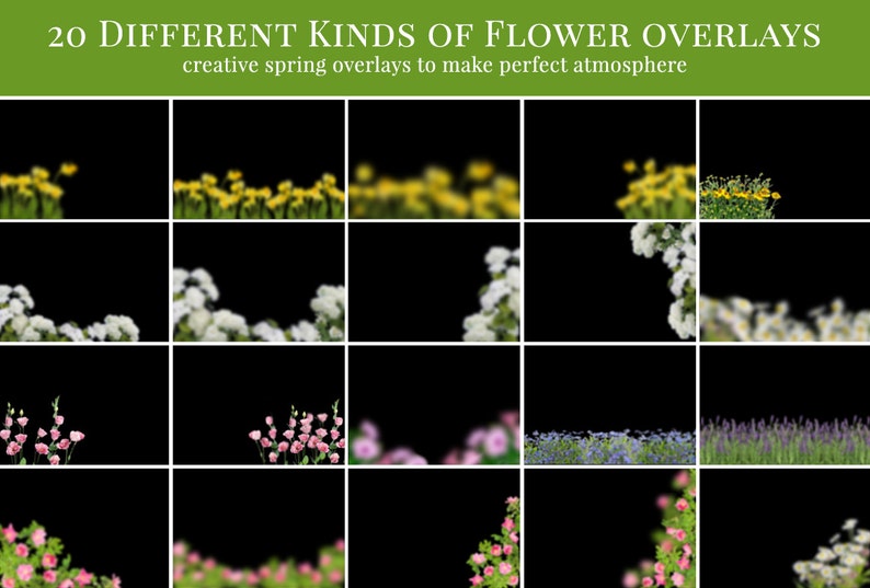 Spring photo overlays Flowery Spring, flower photo overlays, digital photo overlays for Photoshop image 2