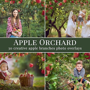 Apple Orchard photo overlays for Photoshop, creative fall overlays for Photographers, Photoshop actions, kids photography image 1