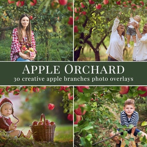 Apple Orchard photo overlays for Photoshop, creative fall overlays for Photographers, Photoshop actions, kids photography