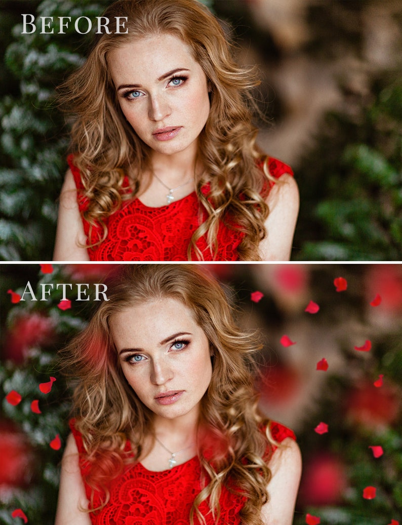 Petal photo overlays American Beauty, falling red rose petals photo overlay, Valentine's Day atmosphere, photo overlays for Photoshop image 2