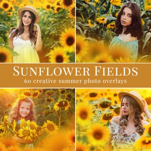 Sunflower photo overlays for Photoshop, creative overlays for Photographers, Photoshop actions, portrait photography, summer floral
