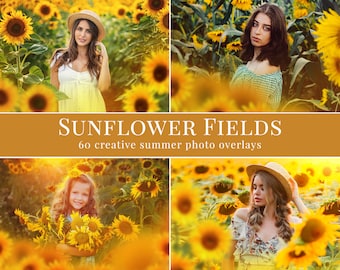 Superposiciones fotográficas de girasoles para Photoshop, superposiciones creativas para fotógrafos, acciones de Photoshop, fotografía de retratos, flores de verano