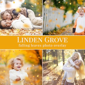 Fall photo overlays &quot;Linden Grove&quot;,  falling leaves photo overlay, autumn photo overlays for Photoshop