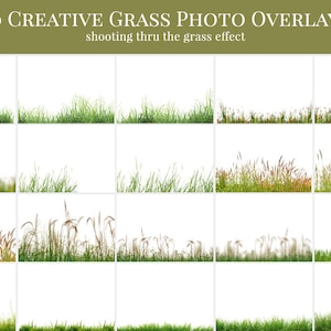 Grass photo overlays In the Grass, shooting through the grass photo overlays, digital photo overlays for Photoshop image 2