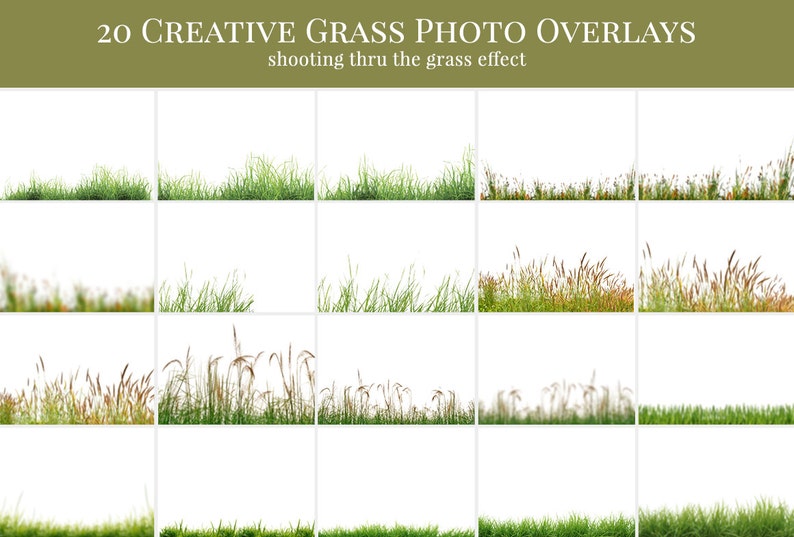 Grass photo overlays In the Grass, shooting through the grass photo overlays, digital photo overlays for Photoshop image 2