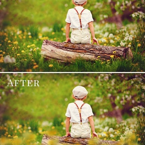 Spring photo overlays Flowery Spring, flower photo overlays, digital photo overlays for Photoshop image 5