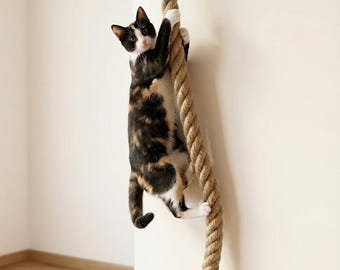 Klätterrep för katt med fäste i massivt trä, väggmonterad 55 tums kattstege i juterep, platsbesparande klösträd för katt, katthyllor