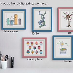 May include: Five framed illustrations of scientific concepts. The illustrations are in a cartoon style and include data argue, DNA, neuron, drosophila, and flower.