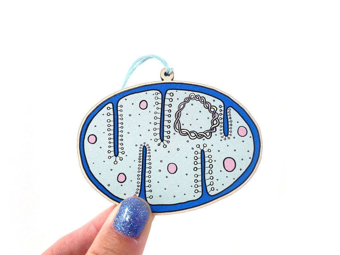 Mitochondrion Wooden Ornament // Molecular Cellular Biology Nerdy