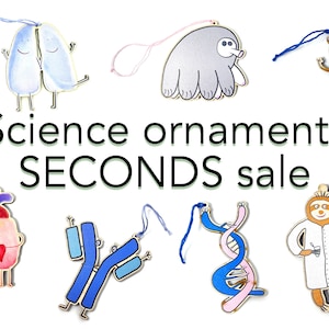 Discounted Biology-themed Wooden Ornaments // Seconds sale // Science Teacher Gift // Drosophila, DNA, Tardigrade, Pipette, Heart, Lungs