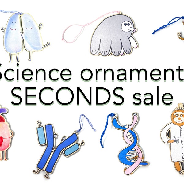 Discounted Biology-themed Wooden Ornaments // Seconds sale // Science Teacher Gift // Drosophila, DNA, Tardigrade, Pipette, Heart, Lungs