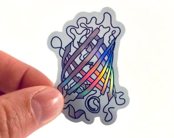 Green Fluorescent Protein (GFP) Sticker // Vinyl, Waterproof, and Permanent // Holographic or Glow in the Dark Molecular Biology Sticker