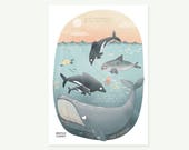 Walvis dolfijn A4 print - onder de zee - david attenborough offerte-oceaan zonsondergang - teal en pastel roze - wildlife illustration - natuur cadeau