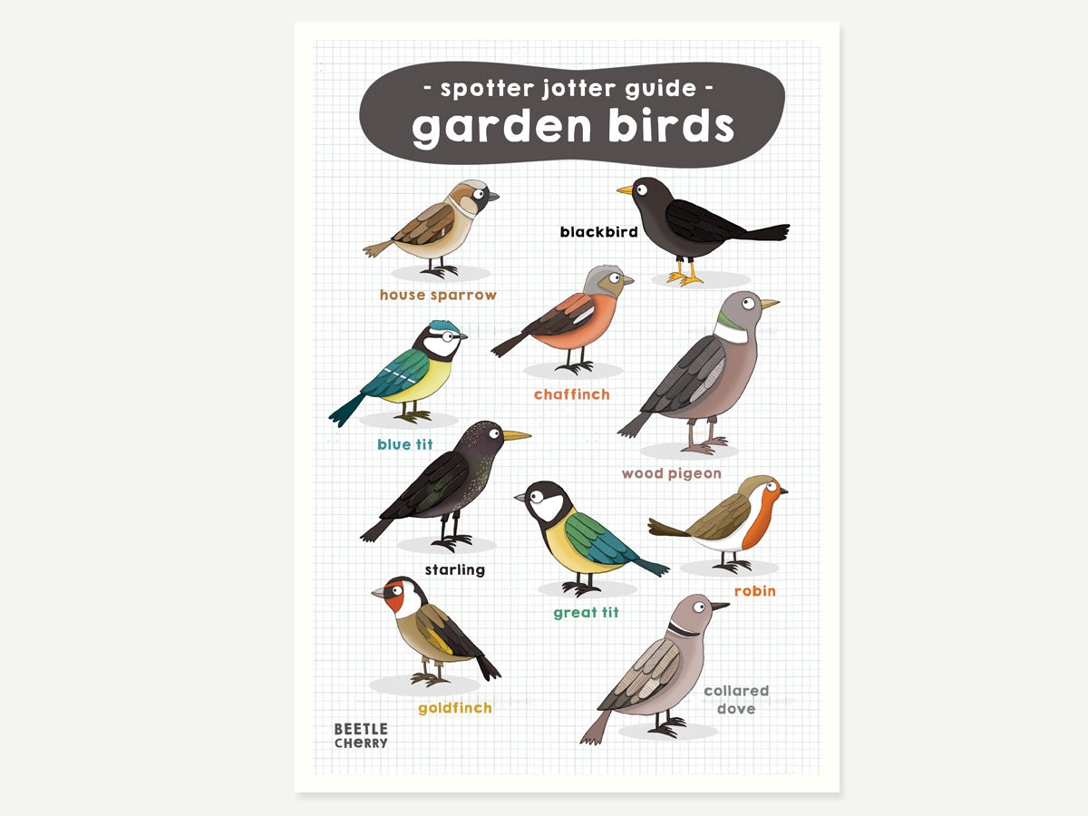 It's just an image of Agile Printable Birding Checklist It is a picture of Agile Printable Birding Checklist