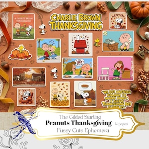 Puede incluir: Una colección de efímeros de papel con temática de Acción de Gracias de Peanuts que incluye a Charlie Brown, Snoopy y Woodstock. El set contiene varias imágenes rectangulares y troqueladas, pines y recortes de texto en tonos otoñales.