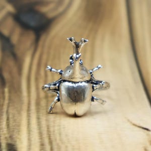 Beetle Ring, 925 Sterling Silver, Insects Jewelry, Nature Inspired Jewelry, Bug Ring, Oxidized Ring, Gothic Jewelry, Unique Gift Idea