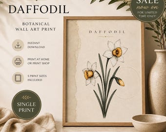 May include: A framed botanical wall art print titled DAFFODIL featuring a detailed illustration of two blooming yellow and white daffodils with green stems. The print has a textured beige background and includes the text DAFFODIL at the top.