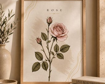 May include: A framed wall art print featuring a botanical illustration of a pink rose with two buds and green leaves on a beige background. The word ROSE is printed in black at the top centre, accompanied by thin, wavy gold line accents.