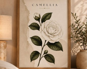 May include: A framed wall art print featuring a botanical illustration of a white camellia flower with dark green leaves and a bud. The background is a cream-coloured paper texture with a vertical torn edge effect and the word CAMELLIA printed above.