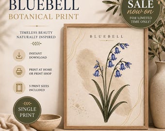 May include: A framed botanical print featuring a bluebell flower illustration with green leaves and blue blossoms on a beige background. The text reads BLUEBELL at the top. The print is displayed with surrounding text including JS CLARITY DESIGNS.