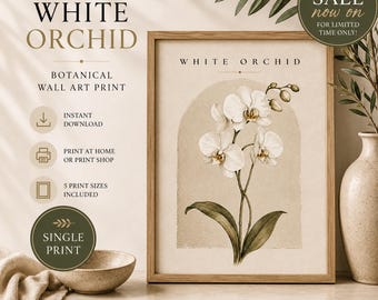 May include: A framed botanical wall art print titled White Orchid featuring a detailed illustration of a white orchid flower with green leaves centred within a beige arch shape on a light background with text including JS Clarity Designs.