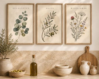 May include: Three framed wall art prints featuring botanical illustrations. The left print shows a eucalyptus branch with the text EUCALYPTUS. The centre print depicts an olive branch with the text OLIVE. The right print displays wildflowers with the text WILDFLOWER.