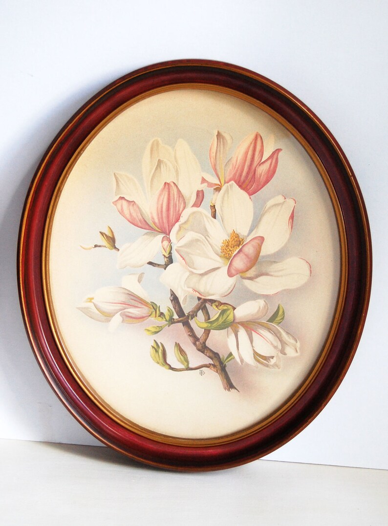 Vintage Botanical Prints in Oval Frames Set of Two Magnolia Etsy