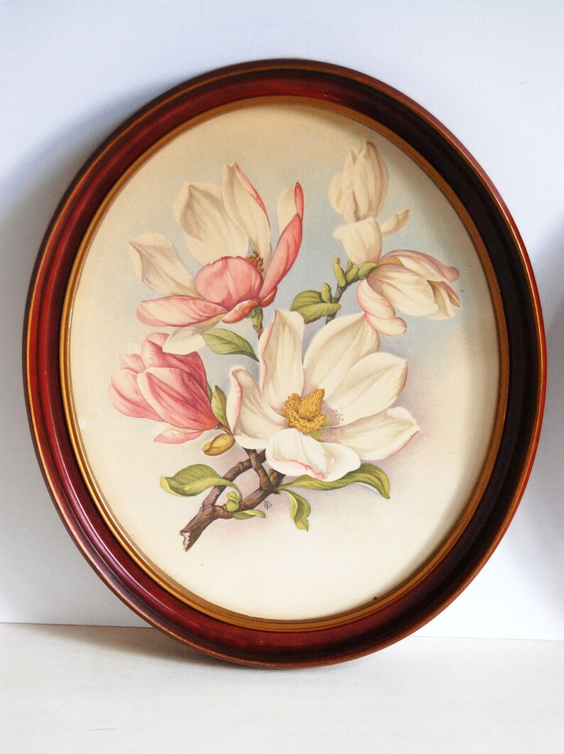 Vintage Botanical Prints in Oval Frames Set of Two Magnolia Etsy