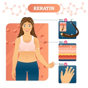 May include: An educational infographic titled KERATIN featuring a central illustration of a person with brown hair wearing a light pink top and blue pants. Diagrams show cross-sections of hair, skin layers, and a hand with fingernails.