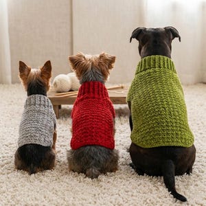 Op de afbeelding: Drie honden van achteren gezien, elk met een gehaakte trui in een andere kleur. De kleinste hond links draagt een lichtgrijze trui, de middelste hond een felrode trui en de grootste hond rechts draagt een limoengroene trui.
