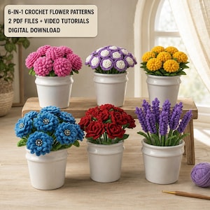 May include: Six potted crochet flower arrangements in white ceramic pots. The text reads: 6-IN-1 CROCHET FLOWER PATTERNS, 2 PDF FILES + VIDEO TUTORIALS, DIGITAL DOWNLOAD. The flowers are pink, purple and white, yellow, blue with beads, red, and purple lavender.