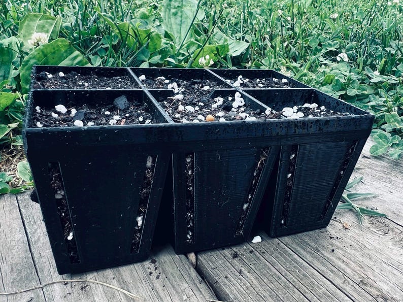 May include: A black plastic seed starting tray with six individual rectangular compartments. Each compartment is filled with dark potting soil containing small white perlite particles. The sides of the tray feature vertical ventilation slits.