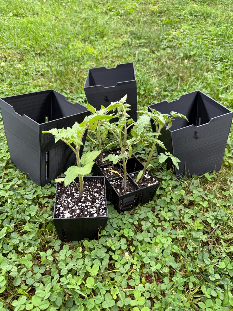 5.5-Inch Reusable PETG Nursery Pots with Drainage, 3-Pack 画像 5