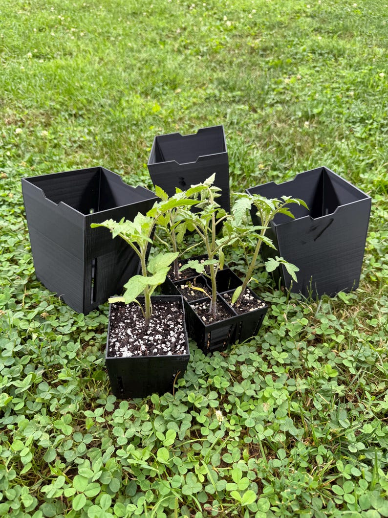 5.5-Inch Reusable PETG Nursery Pots with Drainage, 3-Pack 画像 6